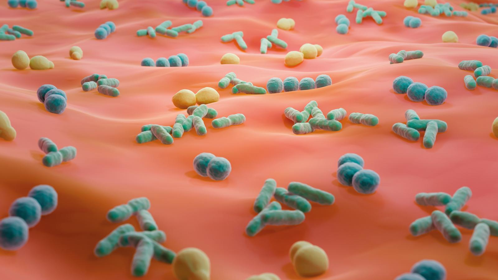 Hautfarbener Stoff auf dem bakterienähnliche Stoffballen liegen