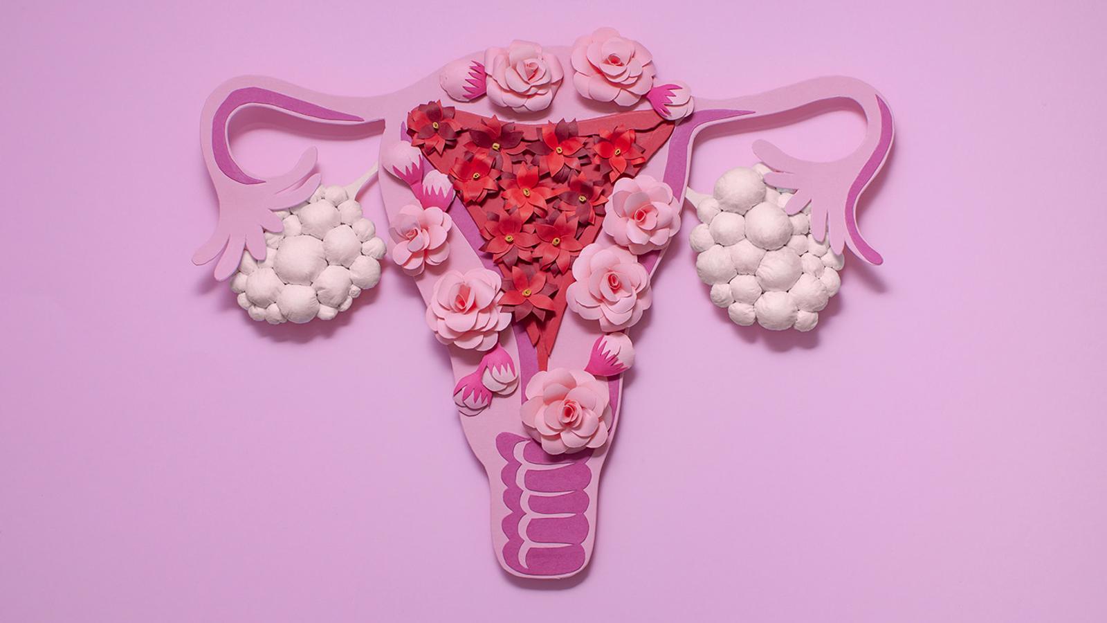 Uterus als Symbolbild für Progesteron