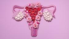 Uterus als Symbolbild für Progesteron