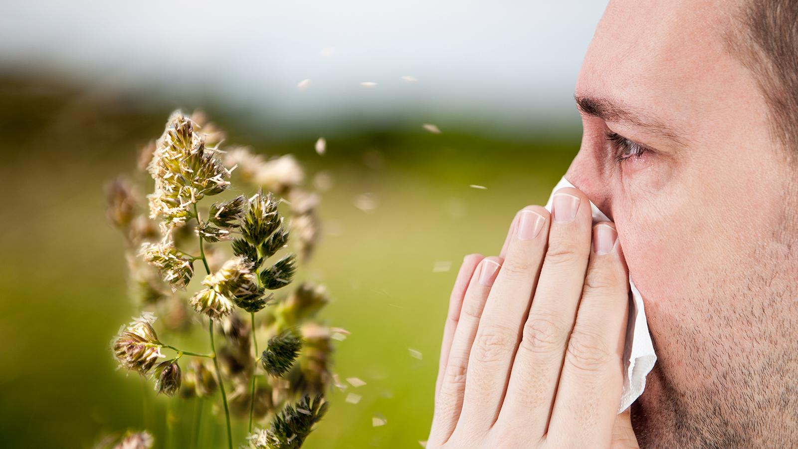 Wie hoch ist mein Allergie-Risiko?