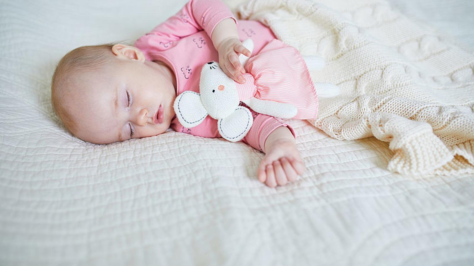 Baby schläft mit Kuscheltier in der Hand