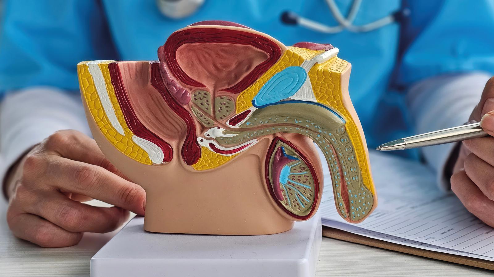 Urologie