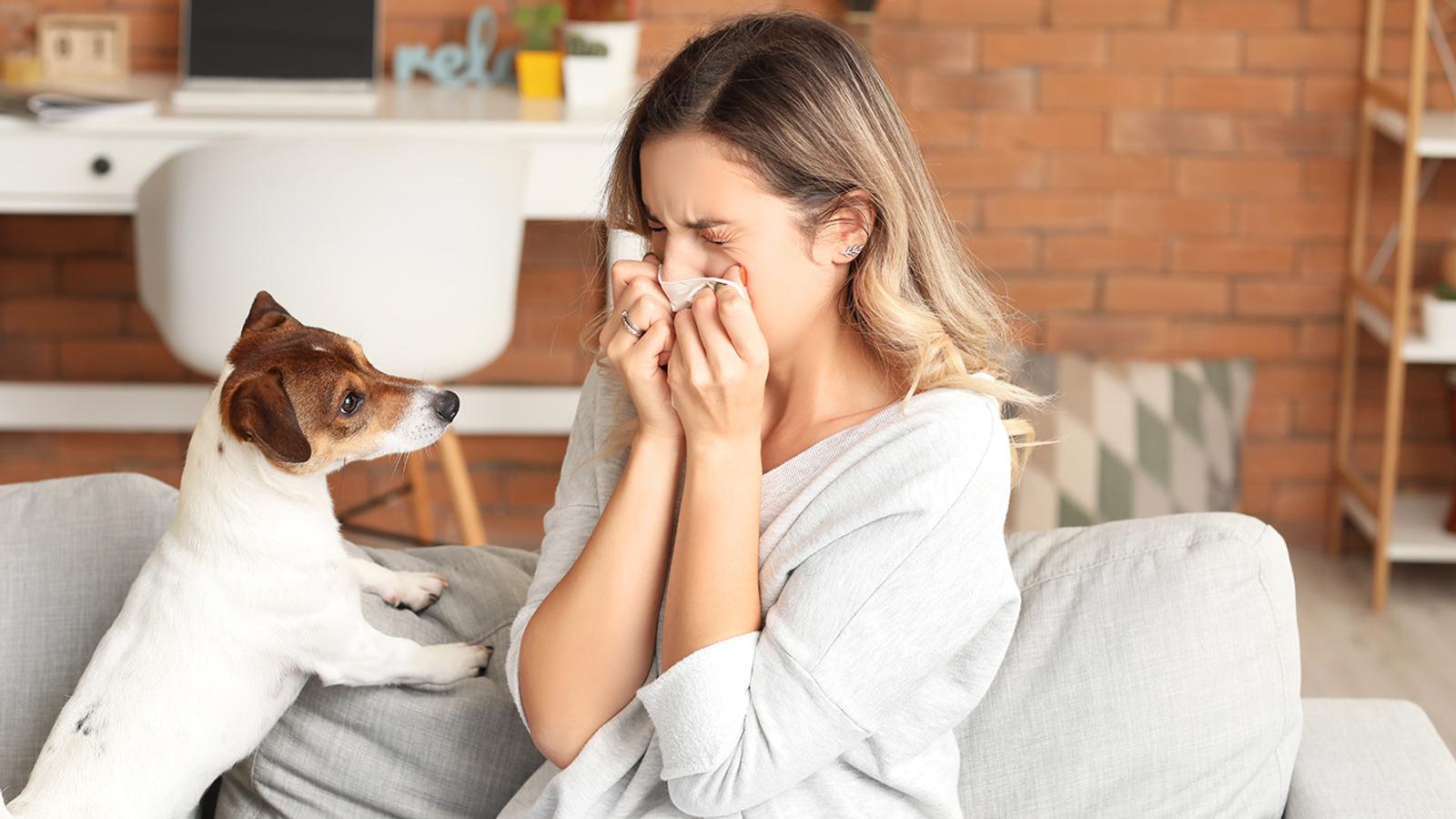 Tierhaarallergikerin mit Hund hat Schnupfen