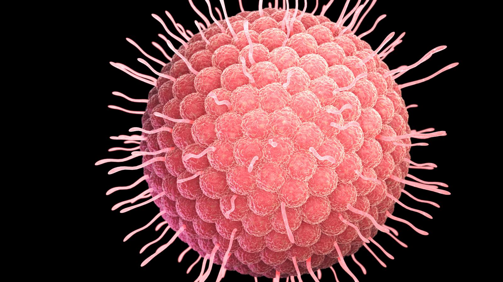 Herpes Zoster Virus