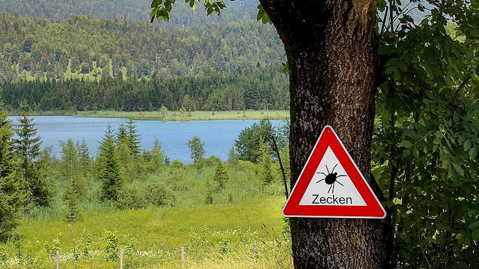 Warnschild vor Zecken an einem Baum