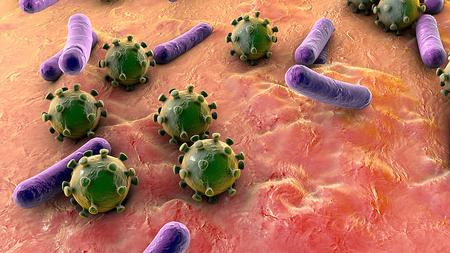 Bakterien und Viren auf der Schleimhaut