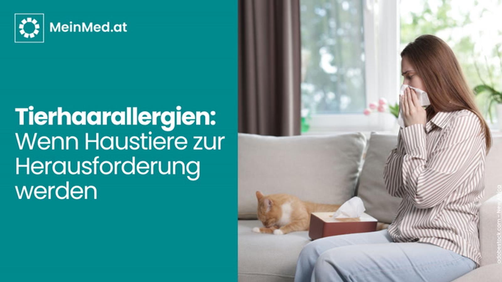 Wenn Haustiere zur Herausforderung werden: Umgang mit Tierhaarallergien