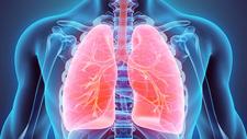 Abbildung der Lunge