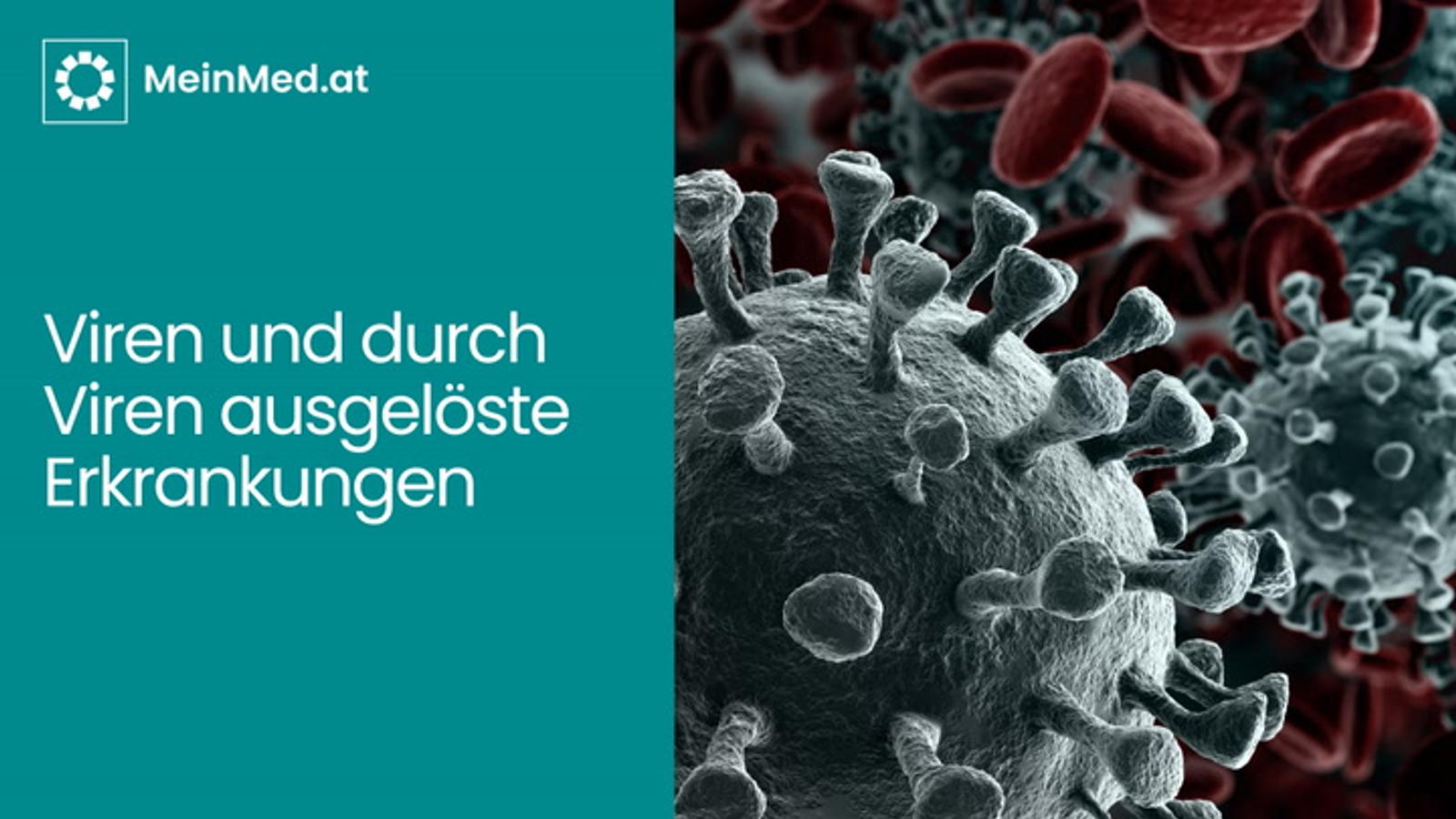 Viren und durch Viren ausgelöste Erkrankungen