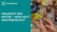 Heilkraft der Natur – was hilft nachweislich? 