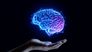 Von Synapsen und Signalen: Aktuelle Erkenntnisse und Therapien in der Neurologie