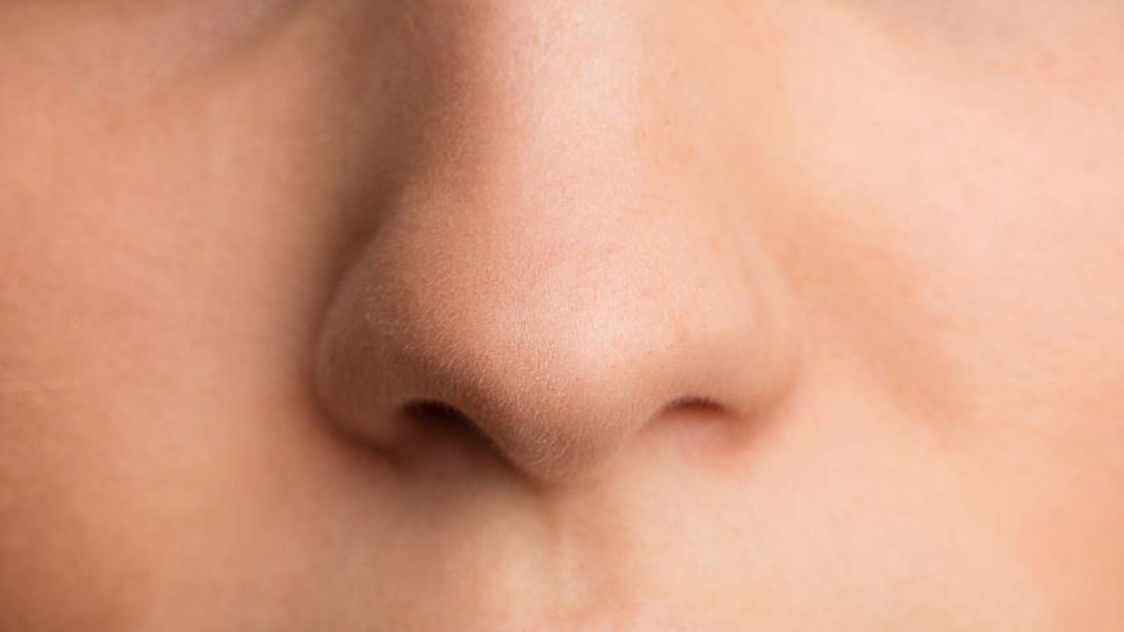 Abbildung einer Nase