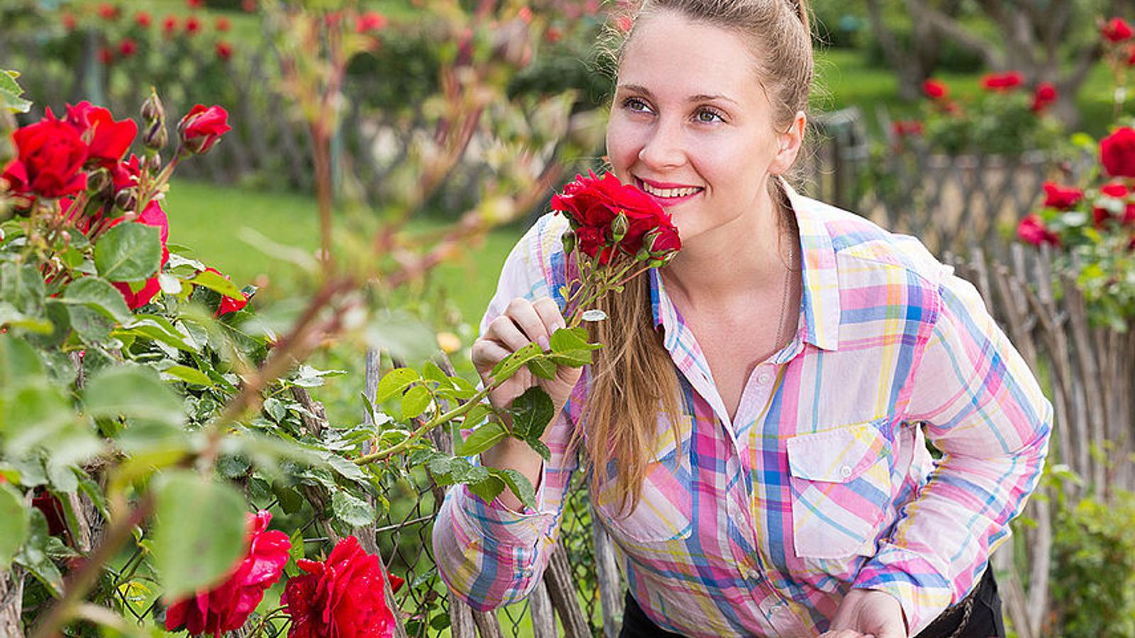 Frau richt an Rose