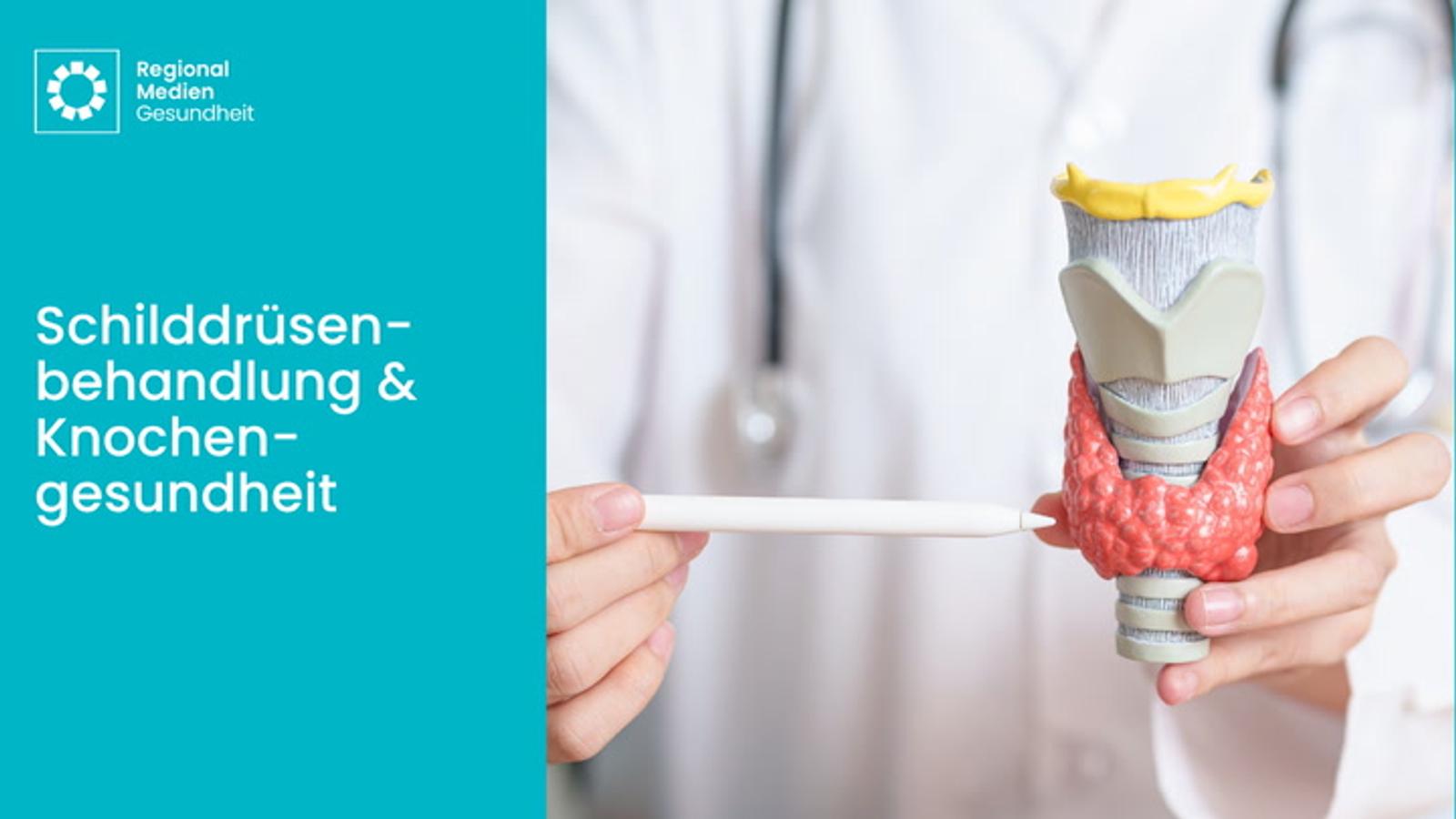 Schilddrüsenbehandlung und Knochengesundheit: Was Sie wissen sollten