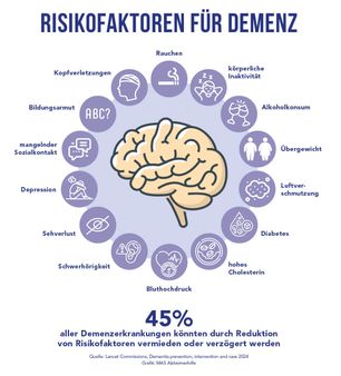 Grafische Darstellung der Risikofaktoren für Demenz