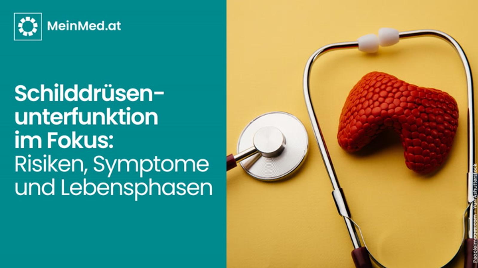 Schilddrüsenunterfunktion im Fokus - Risiken, Symptome und Lebensphasen