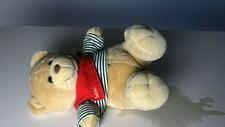 Teddybär liegt in Wasserlacke