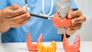 Autoimmunerkrankungen der Schilddrüse – wann brauche ich ein Medikament?