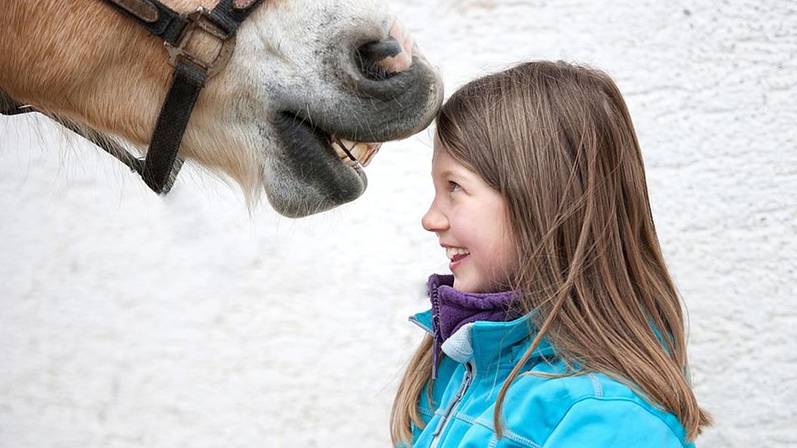 Junges Mädchen wird von Pferd auf die Stirn geküsst