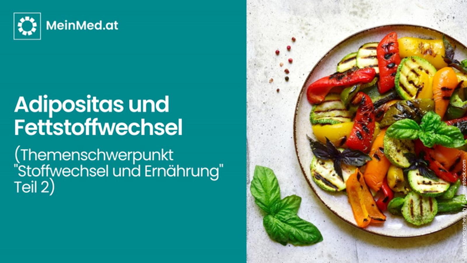 Adipositas und Fettstoffwechsel (Themenschwerpunkt "Stoffwechsel und Ernährung" Teil 2)