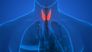 Von Hashimoto-Thyreoiditis bis Morbus Basedow: Autoimmunerkrankungen der Schilddrüse – die neue Volkskrankheit