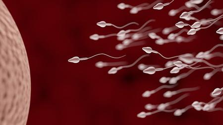 Grafische Darstellung von Spermien auf dem Weg zur Eizelle
