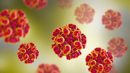 Hepatitis E Virus