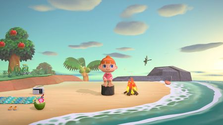 Animal Crossing: New Horizons Animal Crossing: New Horizons