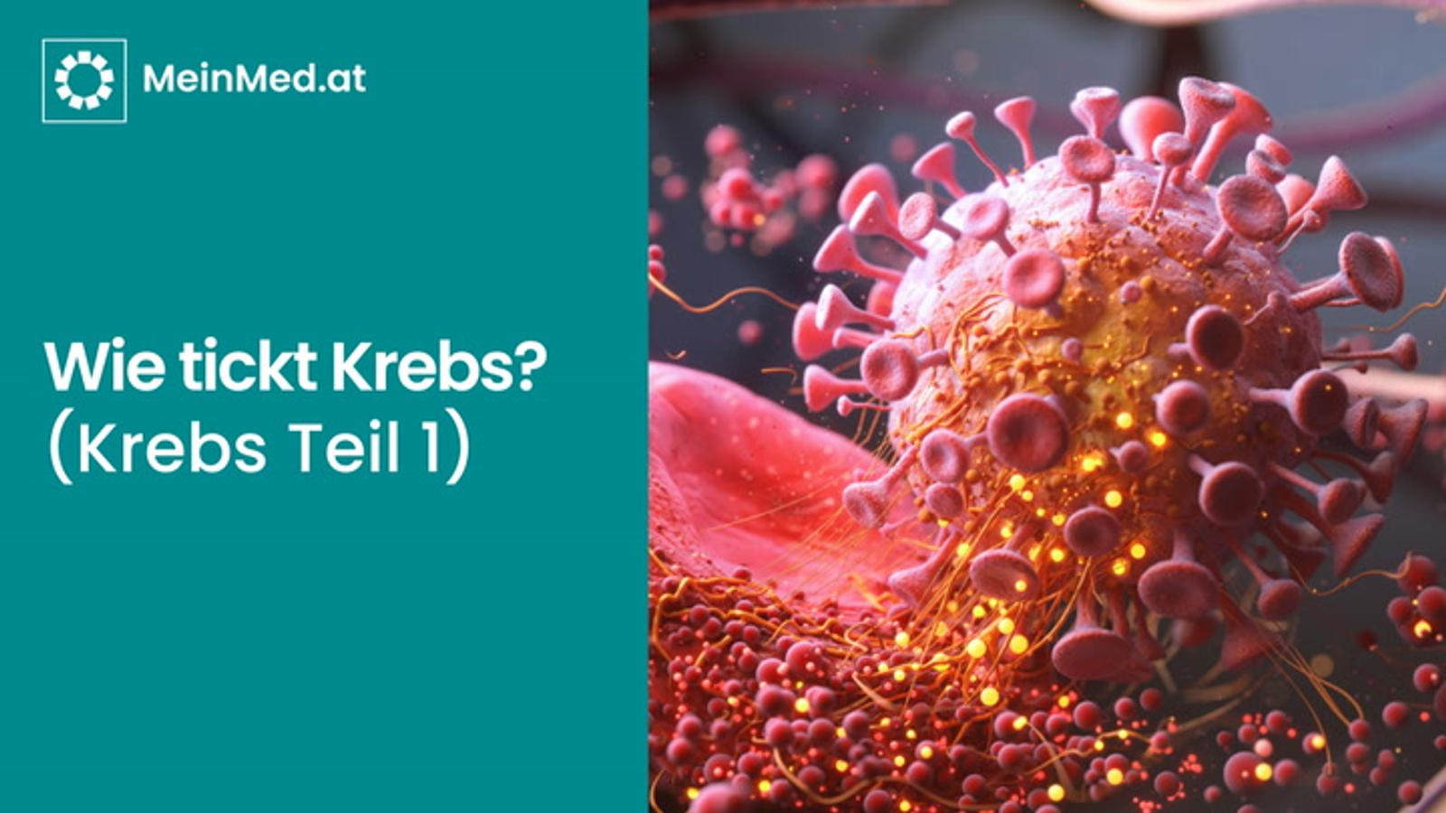 Wie tickt Krebs? (Krebs Teil 1)
