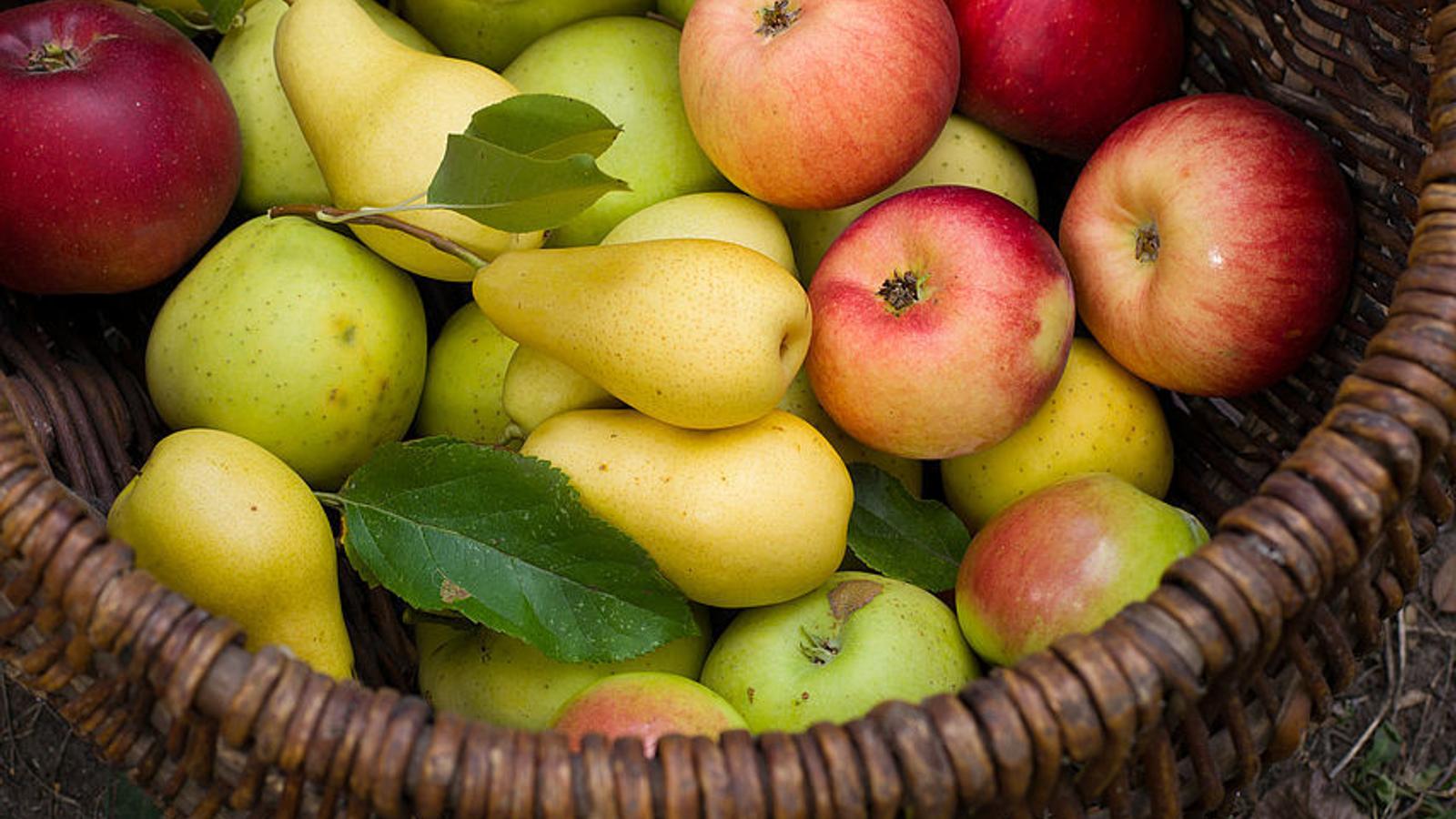 Äpfel und Birnen in einem Korb