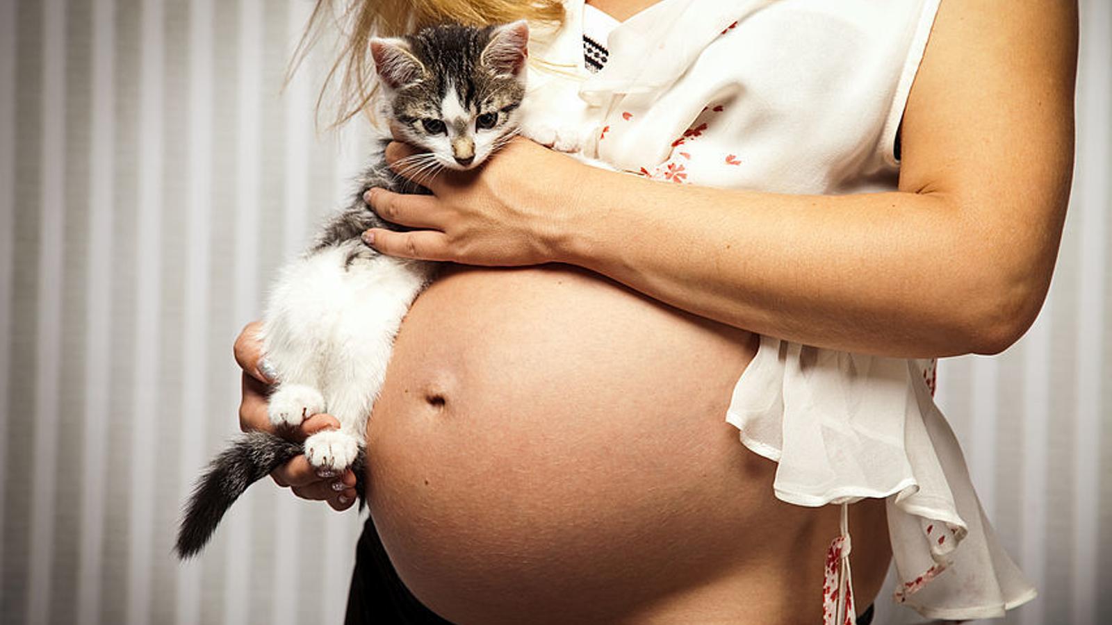 Schwangere Frau mit Katze in der Hand