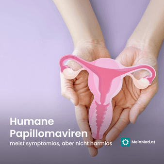  HPV: Humane Papillomaviren 