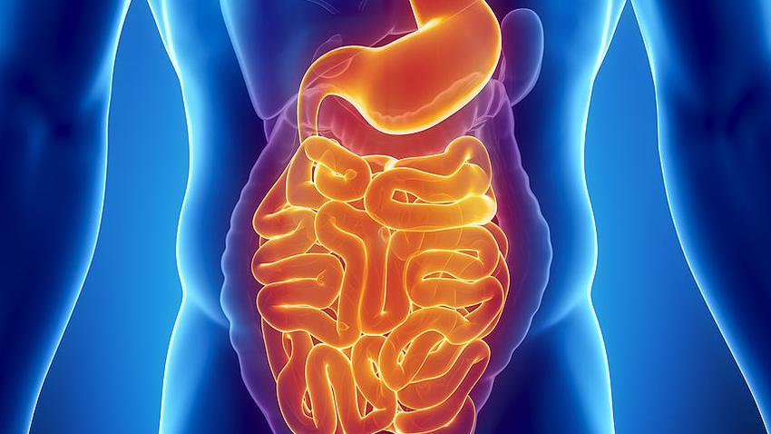 Magen-Darm-Erkrankungen » Beschwerden, Probleme | MeinMed.at