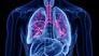 Die unterschätzte Lungenkrankheit: Diagnose und Behandlung der COPD