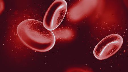 Abbildung von roten Blutkörperchen