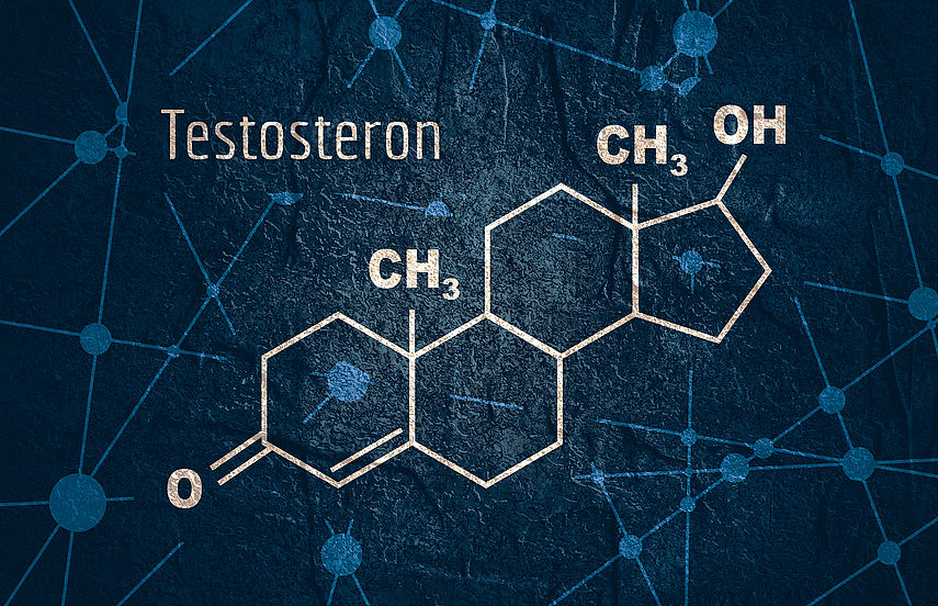 Testosteronmangel Beim Mann » Wie Erkennt Man Ihn? | MeinMed.at