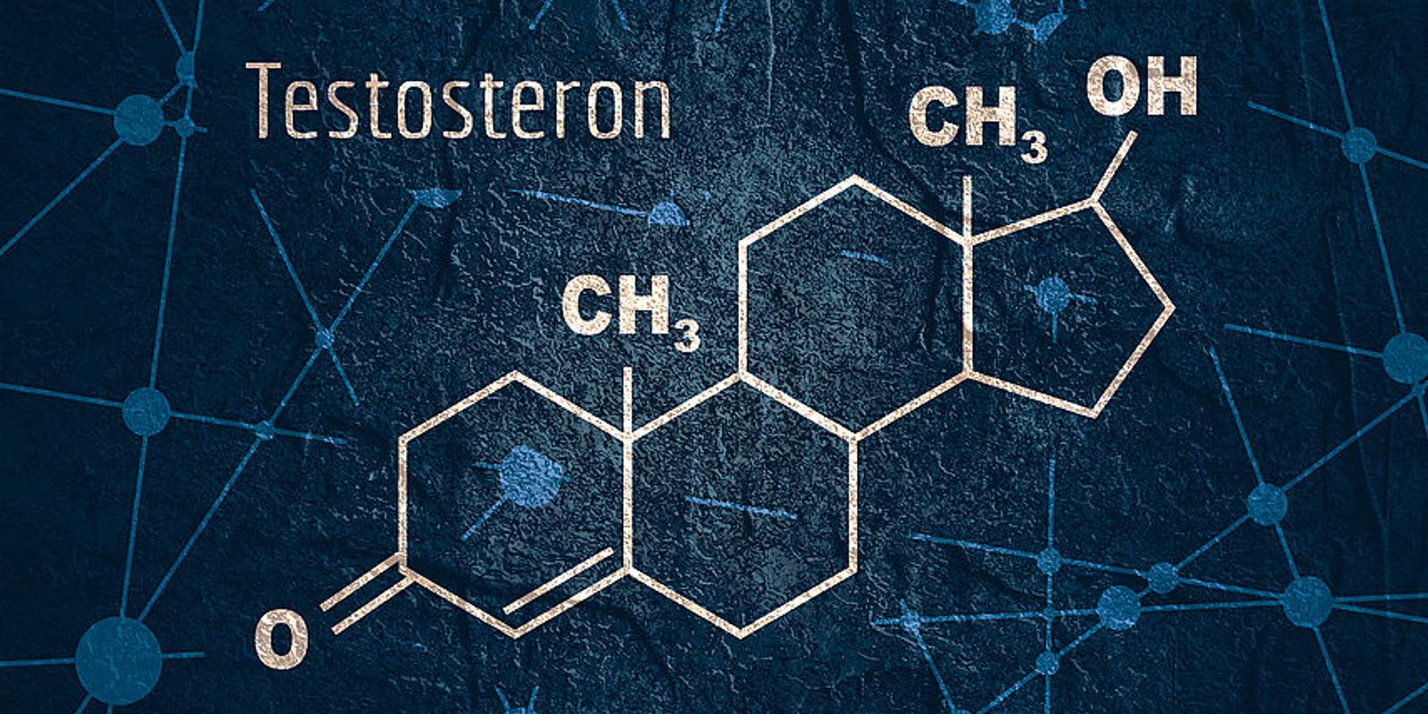 Testosteronmangel beim Mann » Wie erkennt man ihn   MeinMed.at