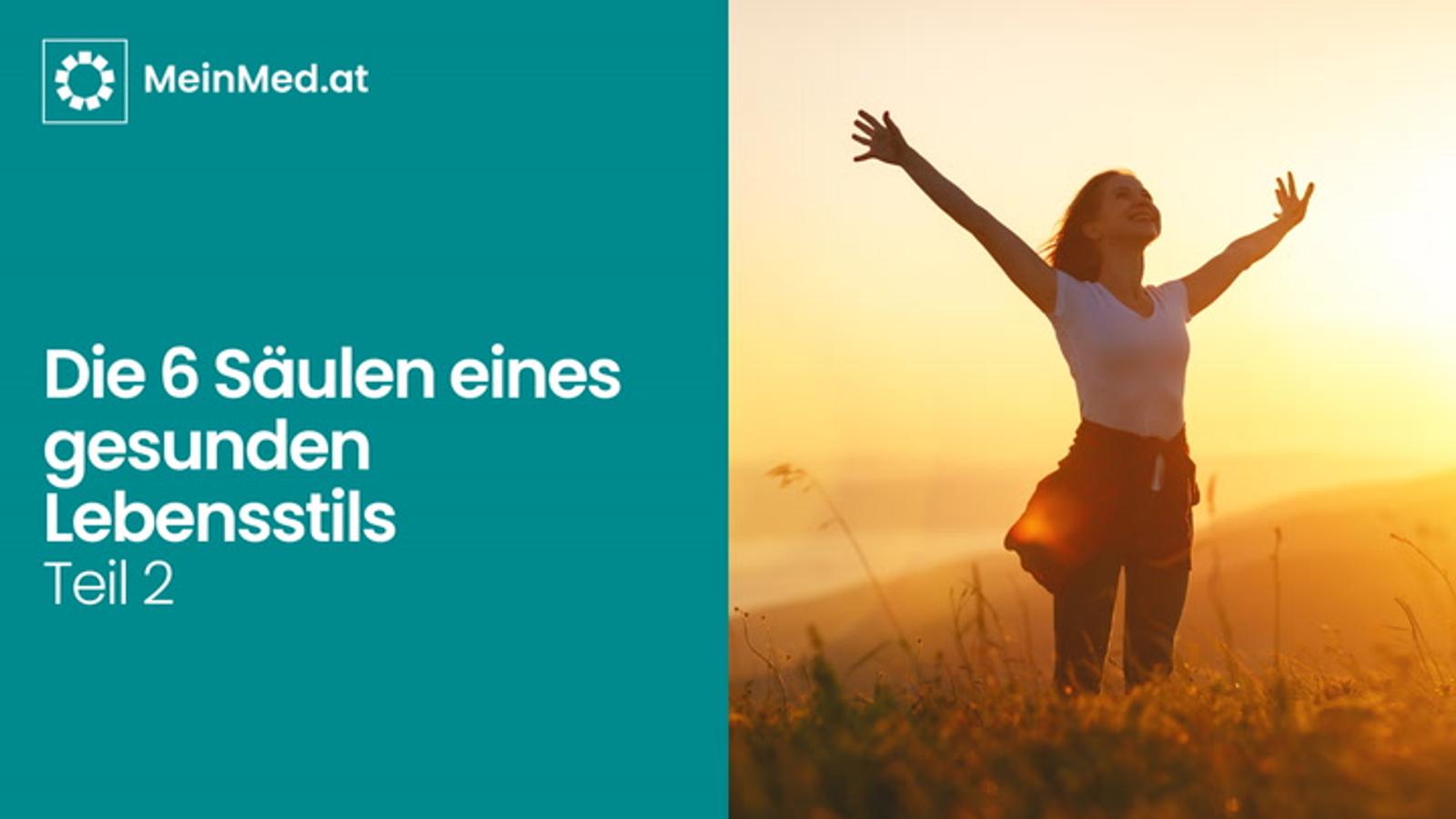 Die sechs Säulen eines gesunden Lebensstils - Teil 2