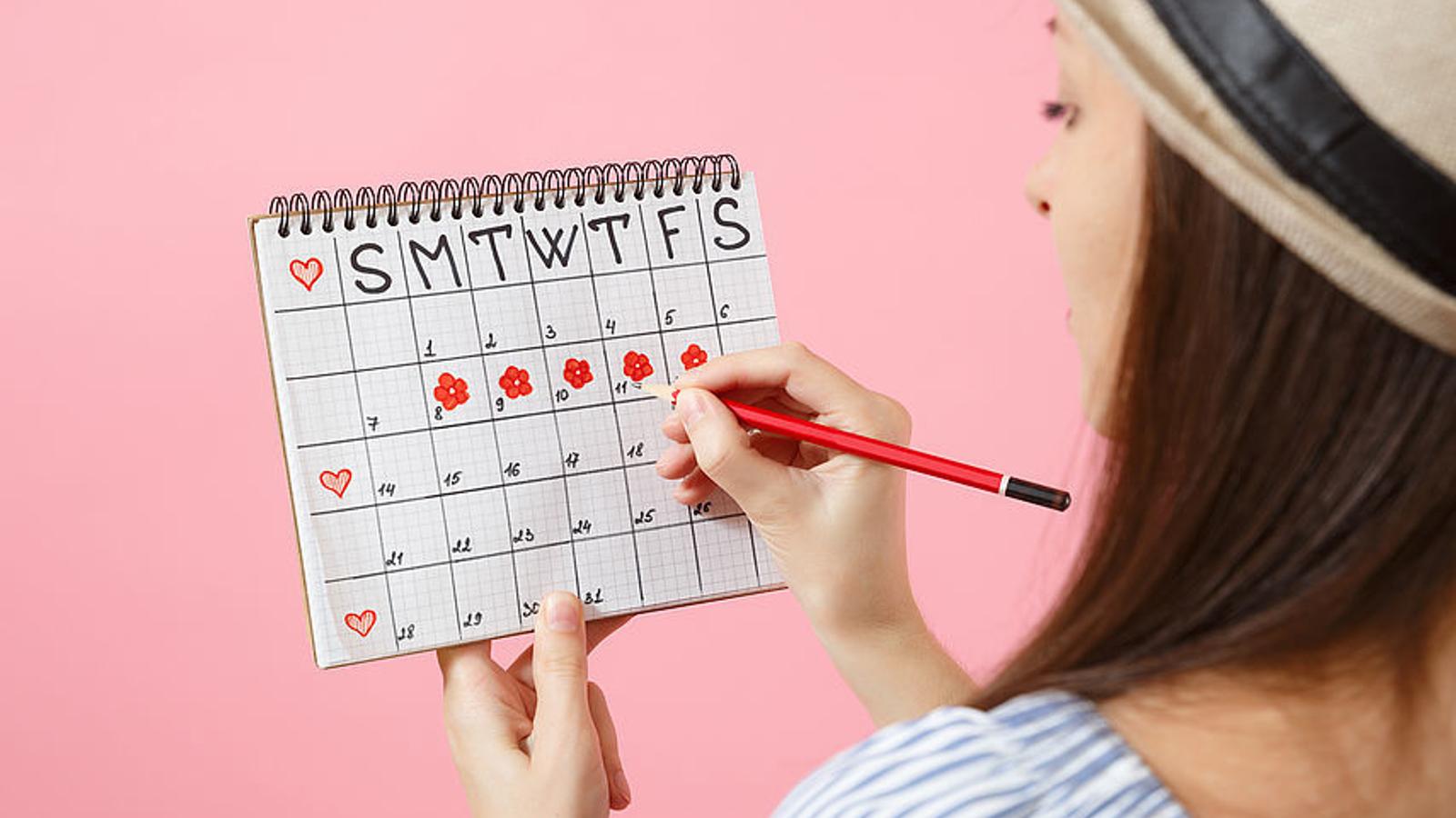 Eisprung » Wie lange er dauert, Anzeichen & Berechnung MeinMed.at