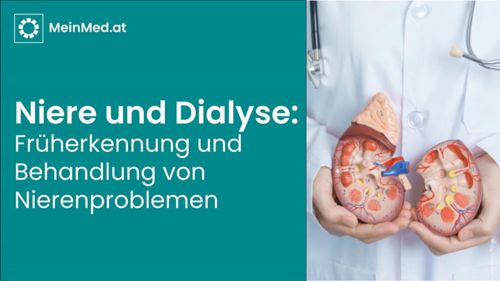 Niere und Dialyse