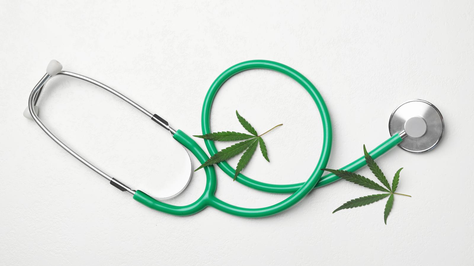 Cannabis