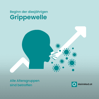  Grippe (Influenza) 